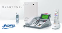 Panasonic laRelier